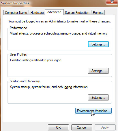 Path to environment variable